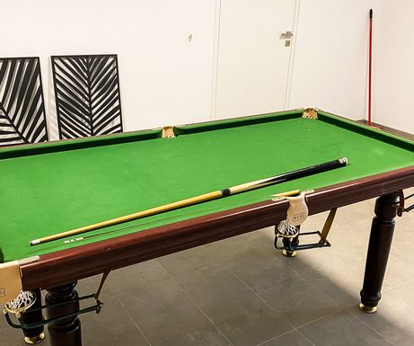 Gaming room in the basement with billiard and darts